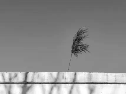 Казино Наполи Мобилно приложение